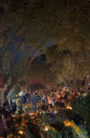 WhatsApp Image 2025-12-12 at 5.54.50 PM.jpeg