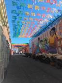 WhatsApp Image 2025-11-24 at 10.49.10 AM